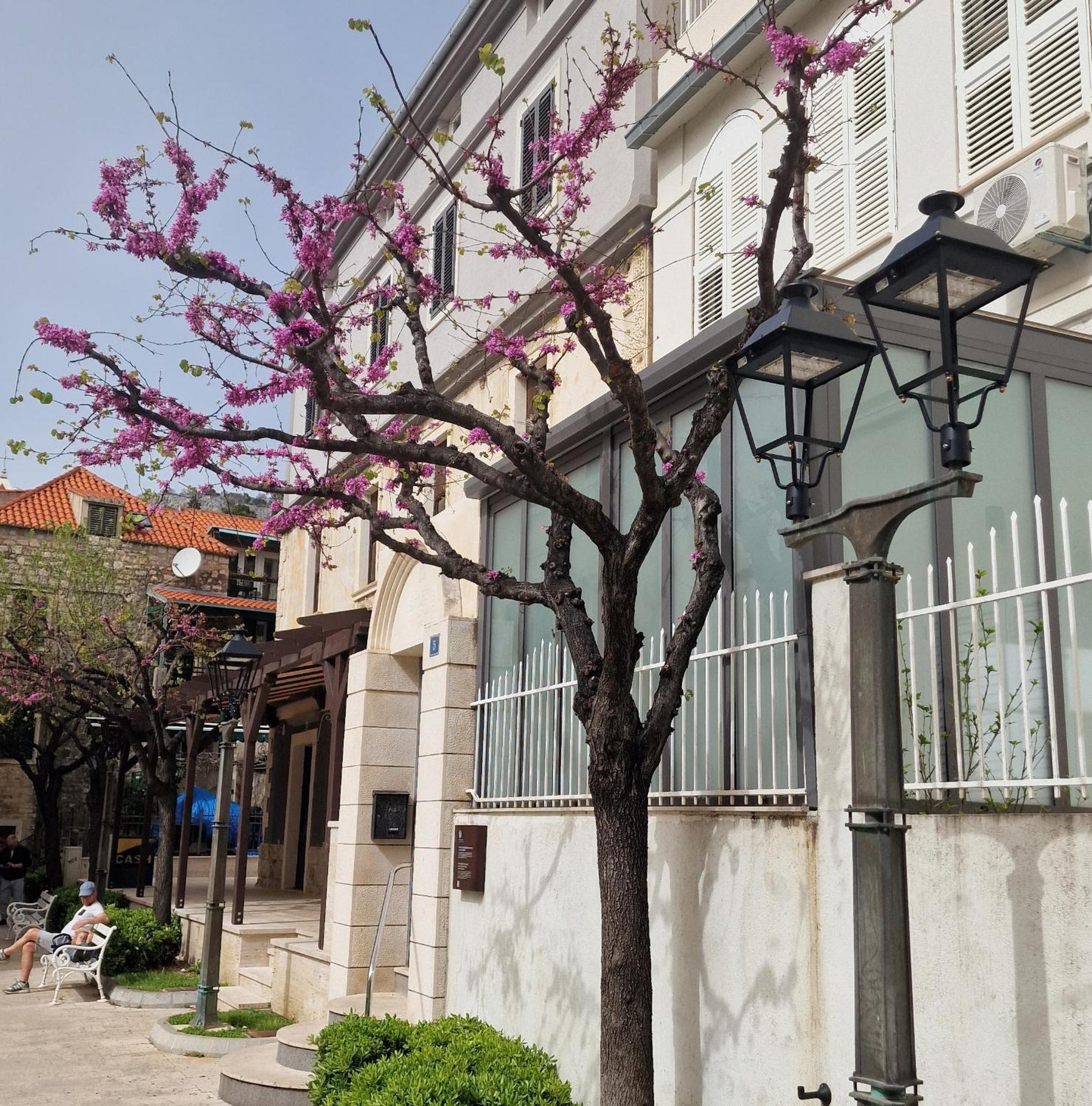Old Town Apartment Omiš Εξωτερικό φωτογραφία