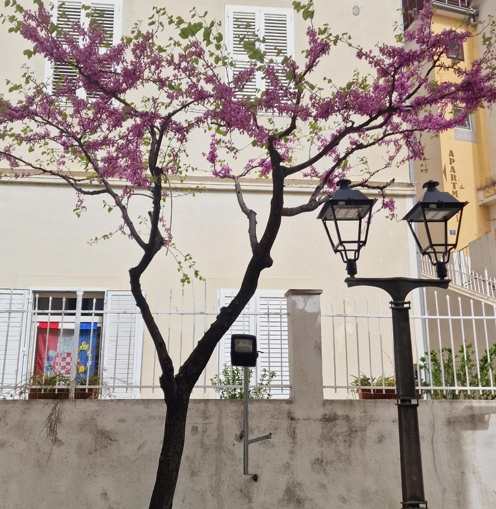 Old Town Apartment Omiš Εξωτερικό φωτογραφία